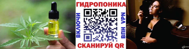 Cannafood конопля  Нерехта 