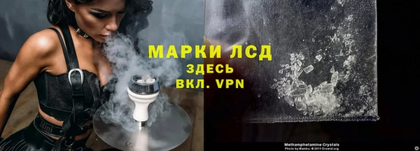 индика Белоозёрский