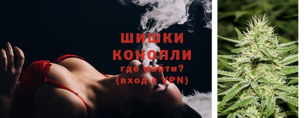 гашик Белокуриха