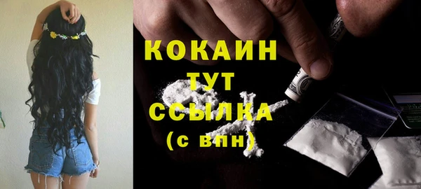 гашик Белокуриха