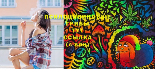 гашик Белокуриха