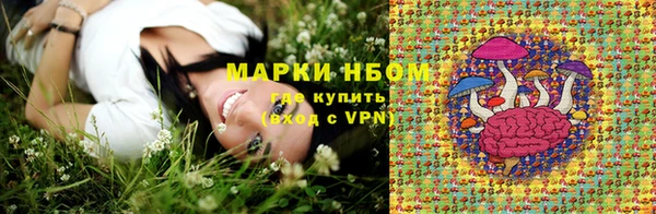 гашик Белокуриха