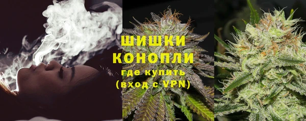 гашик Белокуриха