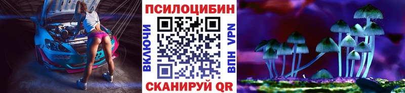 Галлюциногенные грибы Psilocybe Нерехта