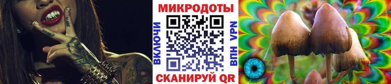 Галлюциногенные грибы MAGIC MUSHROOMS  что такое   Нерехта 